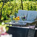 Farmhouse In Lucca With Vineyard Views Lägenhet