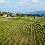 Farmhouse In Lucca With Vineyard Views *