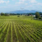Farmhouse In Lucca With Vineyard Views *