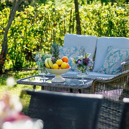 In Lucca With Vineyard Views Appartamento