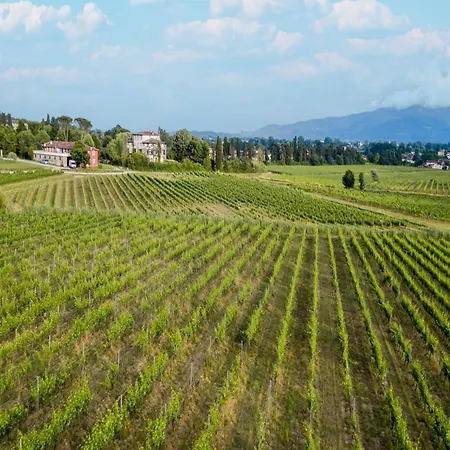 In Lucca With Vineyard Views *