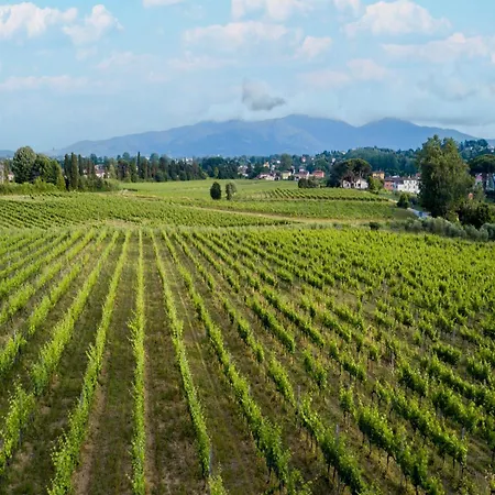 In Lucca With Vineyard Views *
